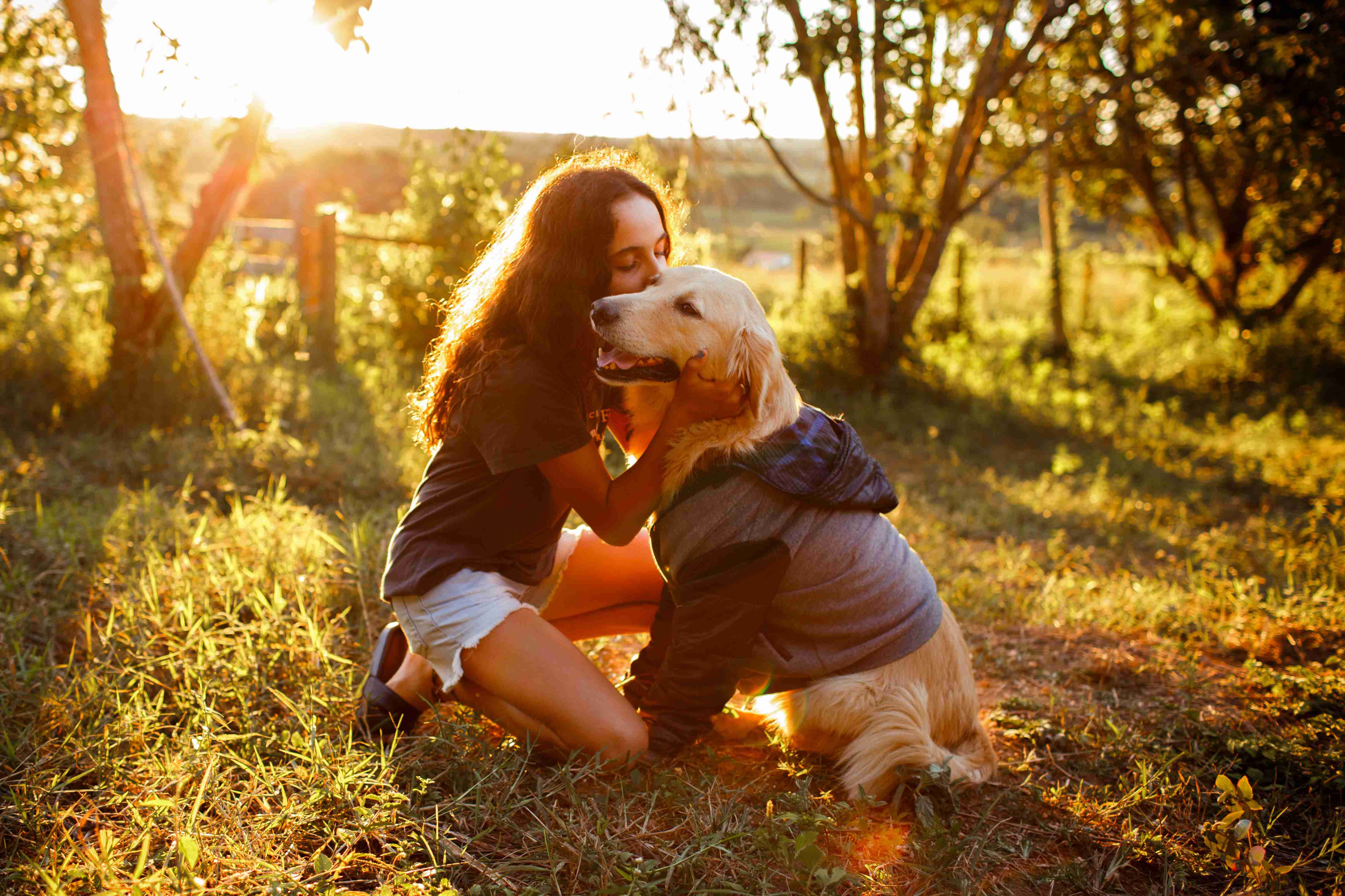Protecting Your Golden Retriever: Top Tips for Preventing Dog Flu